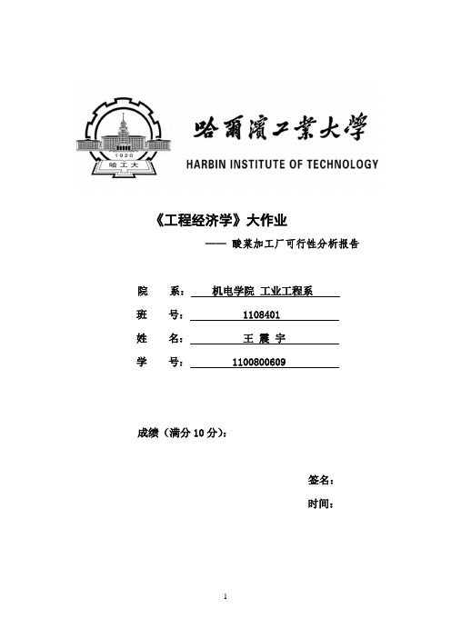 工程经济学大作业 哈工大