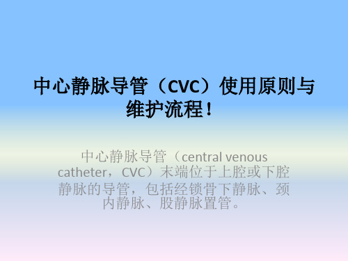 中心静脉导管(CVC)ppt