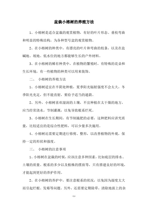 盆栽小榕树的养殖方法