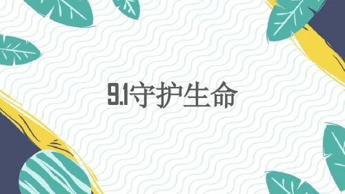 人教版《道德与法治》七年级上册 9.1 守护生命 课件(共22张PPT)