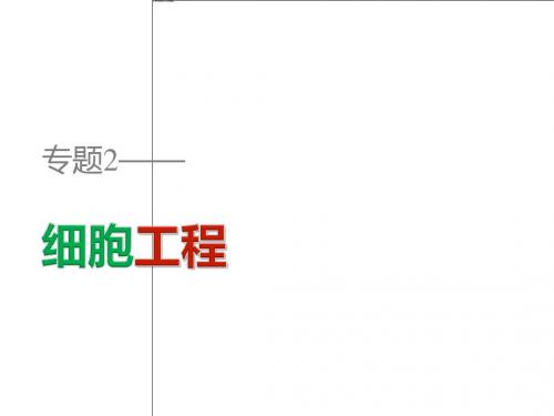 2018-2019学年高二生物人教版选修3课件:专题2 2.1.2 植物细胞工程的实际应用x