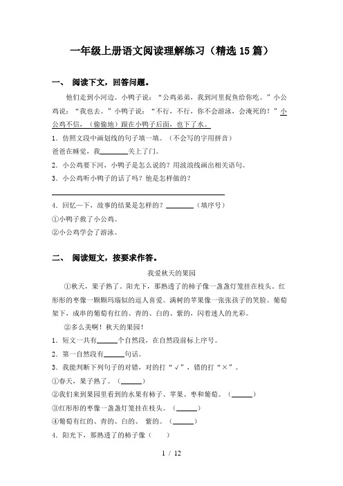 一年级上册语文阅读理解练习(精选15篇)