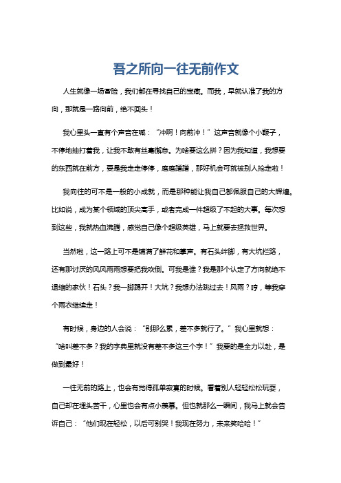 吾之所向一往无前作文