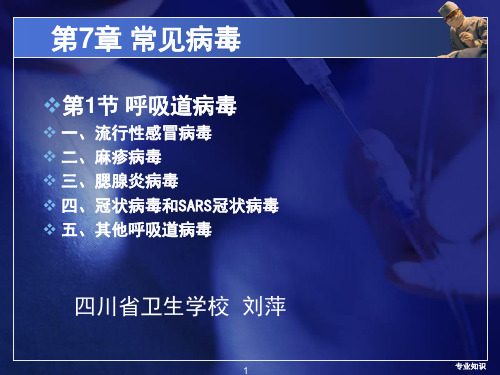 常见病毒：呼吸道病毒[专业荟萃]