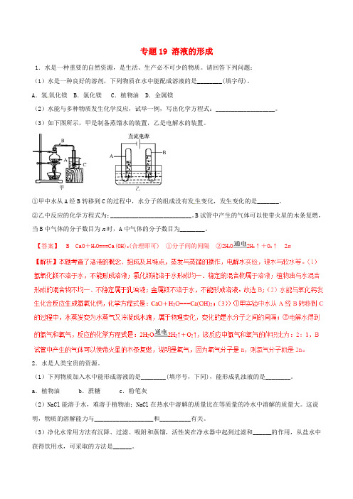 2018年中考化学大题狂做系列 专题19 溶液的形成(含解析)