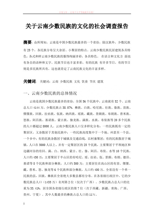 关于云南少数民族的社会调查报告 (1)