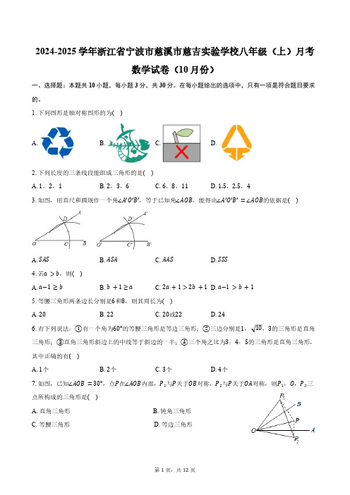 2024-2025学年浙江省宁波市慈溪市慈吉实验学校八年级(上)月考数学试卷(10月份)(含答案)