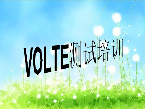 VOLTE测试培训