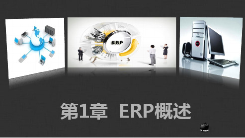 第1章  ERP概述(ERP原理与应用)