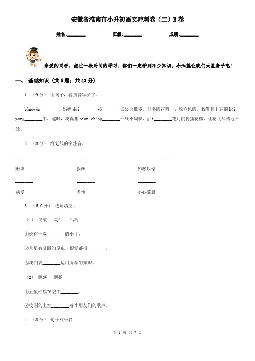 安徽省淮南市小升初语文冲刺卷(二)B卷