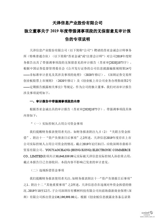 天泽信息：独立董事关于2019年度带强调事项段的无保留意见审计报告的专项说明