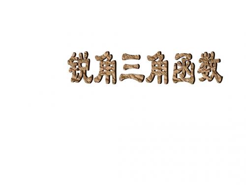 (2019版)人教版初一数学锐角三角形