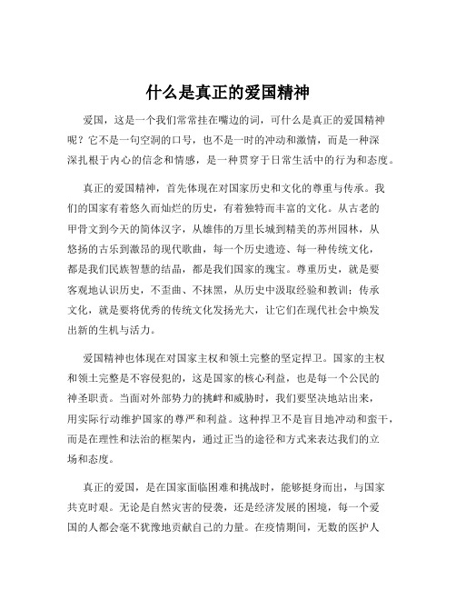 什么是真正的爱国精神