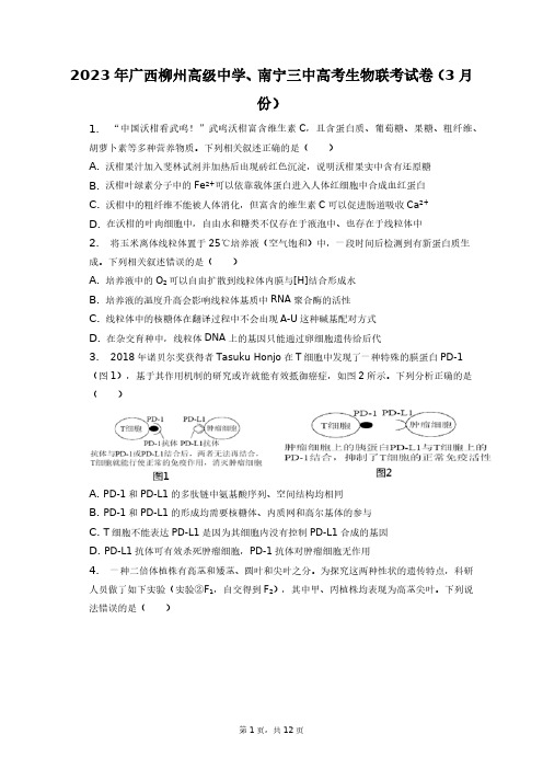 2023年广西柳州高级中学、南宁三中高考生物联考试卷(3月份)+答案解析(附后)