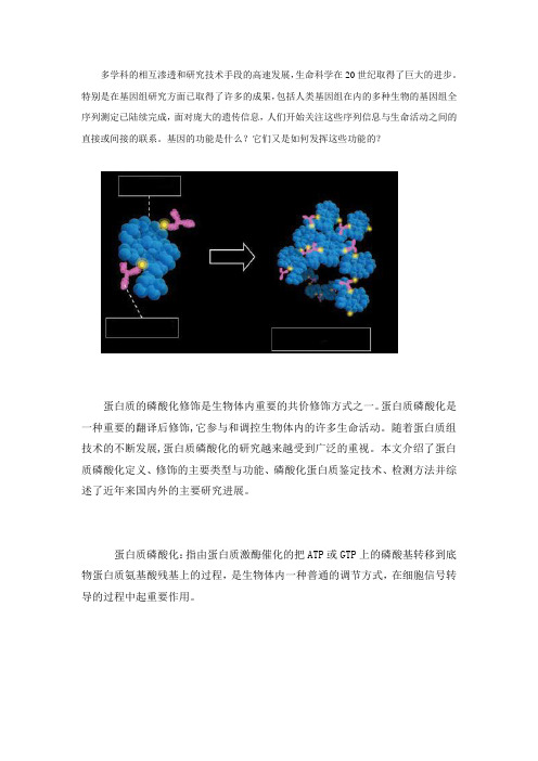 磷酸化蛋白的研究进展