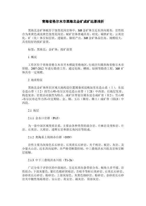 青海省格尔木市黑海北金矿成矿远景浅析