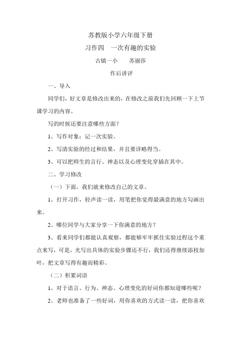 苏教版六年级下册习作4作后指导(二)