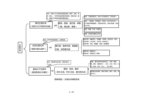生物化学思维导图-大学生物化学思维导图
