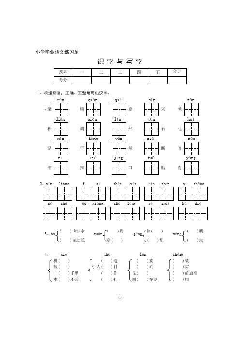 小学毕业班语文练习题(新版
