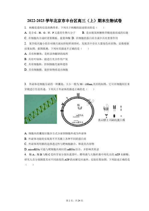 2022-2023学年北京市丰台区高三(上)期末生物试卷(含答案解析)