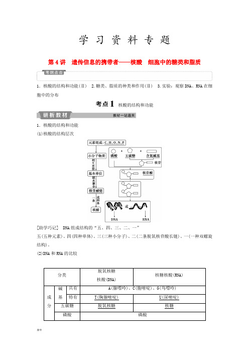 2019届高考生物一轮复习 第一单元  第4讲 遗传信息的携带者——核酸 细胞中的糖类和脂质学案