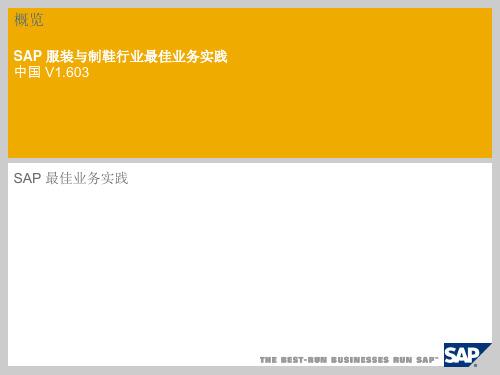 SAP 服装与制鞋行业最佳业务实践