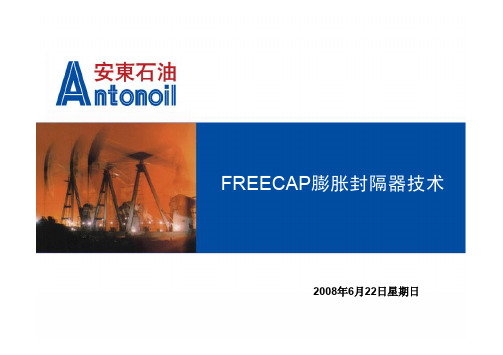 安东石油FREECAP膨胀封隔器性能介绍(PPT)