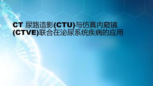 CT 尿路造影(CTU)与仿真内窥镜(CTVE)联合在泌尿系统疾病的应用ppt课件