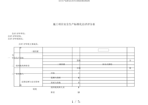 安全生产标准化自评评分表格范例范例范例