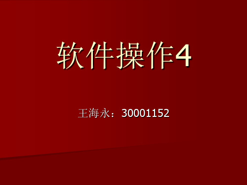 静态软件操作4.ppt