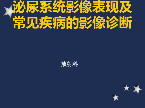 泌尿系统影像表现及常见疾病的影像诊断