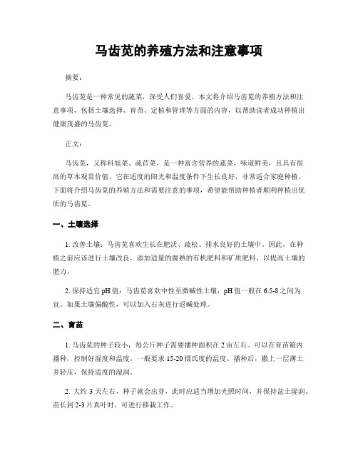 马齿苋的养殖方法和注意事项