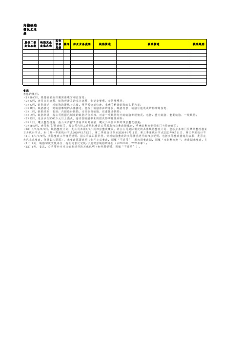 内控缺陷情况汇总表(模板)