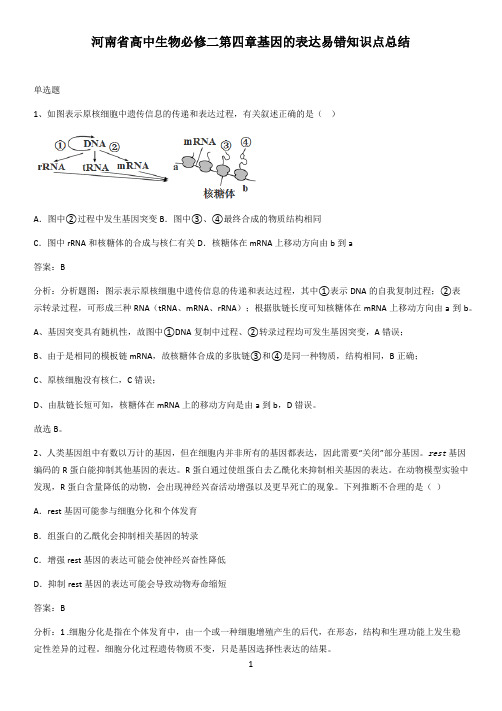 河南省高中生物必修二第四章基因的表达易错知识点总结