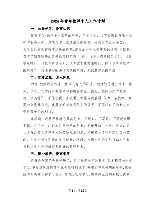 2024年青年教师个人工作计划（五篇）