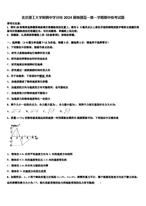 北京理工大学附属中学分校2024届物理高一第一学期期中统考试题含解析