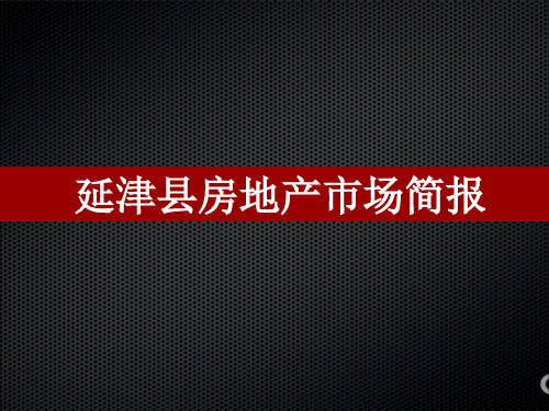 XXXX年河南新乡延津县房地产项目市场研究简报_53页