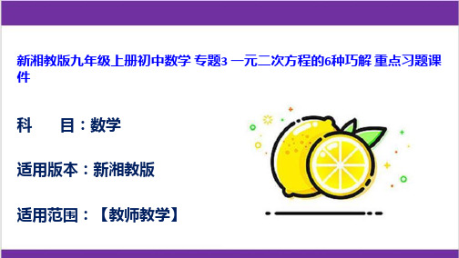 新湘教版九年级上册初中数学 专题3 一元二次方程的6种巧解 重点习题课件