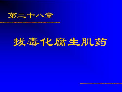 第二十八章 拔毒化腐生肌药