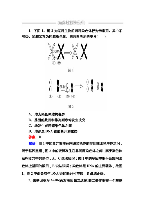 高考生物二轮复习训练1-4-3生物的变异进化含解析