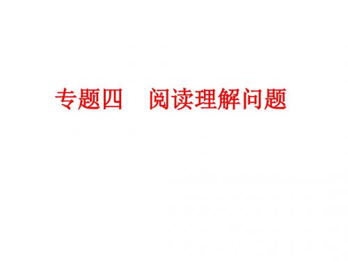 2016年中考总复习课件专题四 阅读理解问题