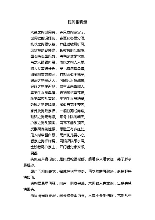 民间相狗经