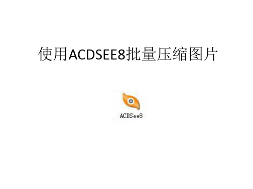 使用ACDSEE批量压缩