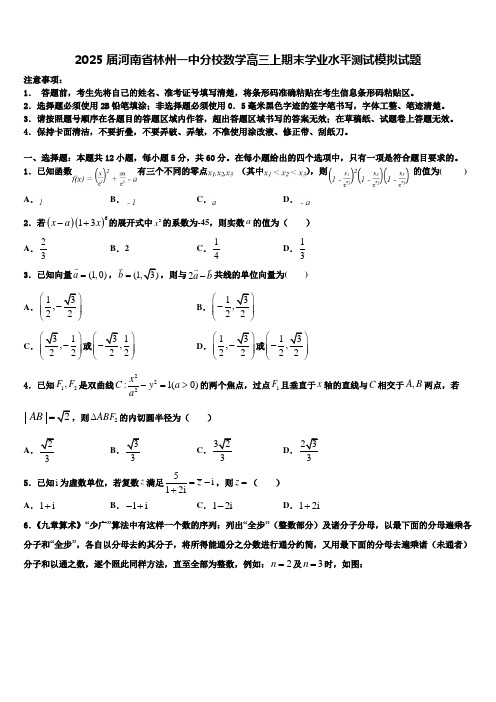 2025届河南省林州一中分校数学高三上期末学业水平测试模拟试题含解析