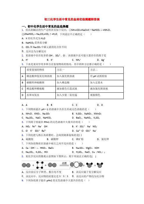 初三化学生活中常见的盐培优检测题附答案