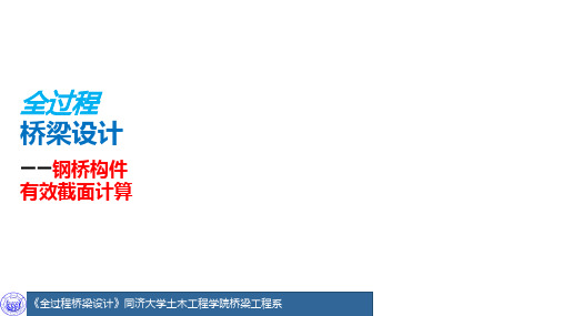 5.1 钢桥构件有效截面计算