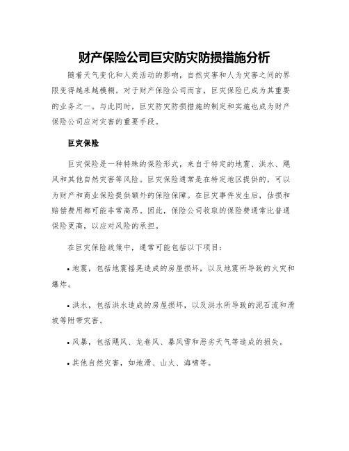 财产保险公司巨灾防灾防损措施分析