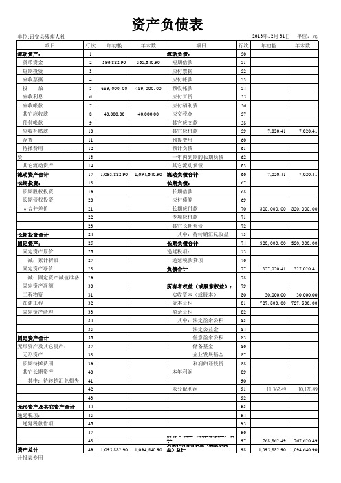 资产负债表2013