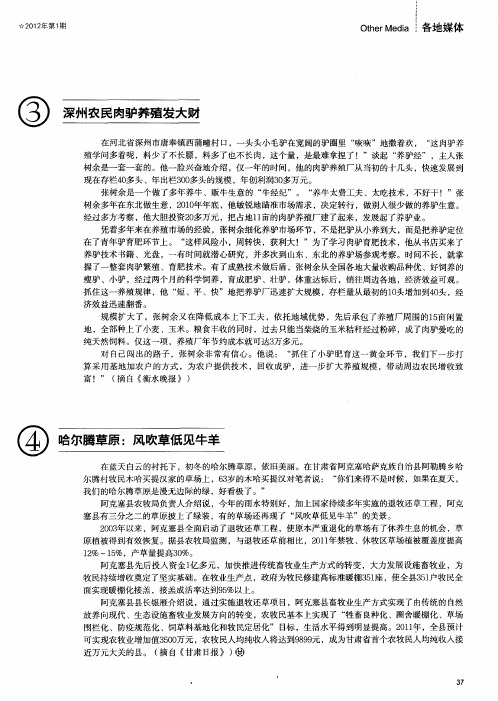 深州农民肉驴养殖发大财