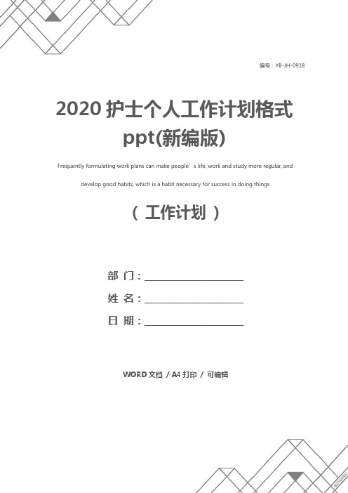 2020护士个人工作计划格式ppt(新编版)